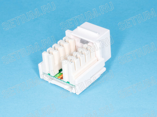 EKTV-UD-04 Модуль RJ-45 8P8C кат.5e, Keystone,  универсальный, PCnet фото 3