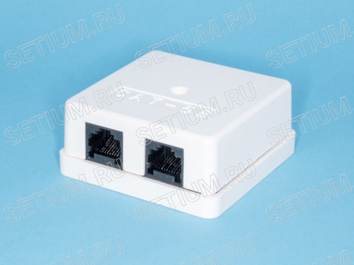 TJC2-5H-W Розетка компьютерная, 2 порта  RJ-45 кат. 5е,  тип 110,  белая